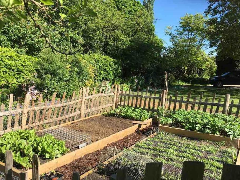 Masons Cottage, An Idyllic Retreat In An Area Of Outstanding Beauty, Close To Blenheim Palace, Oxford & The Cotswolds Stonesfield Eksteriør bilde