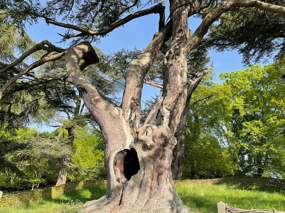 Masons Cottage, An Idyllic Retreat In An Area Of Outstanding Beauty, Close To Blenheim Palace, Oxford & The Cotswolds Stonesfield Eksteriør bilde